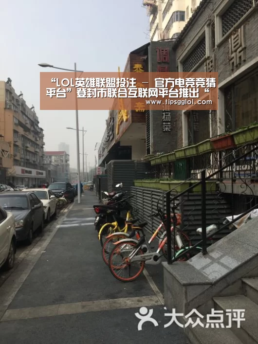 “LOL英雄联盟投注 - 官方电竞竞猜平台”登封市联合互联网平台推出“一脸游嵩山”项目(图1) 电竞直播
